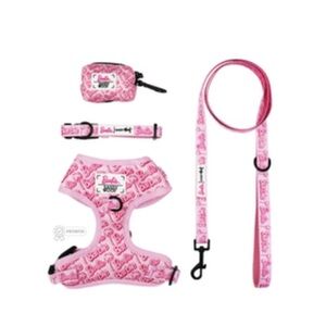 Dog 4 piece Barbie Malibu Pk Pink Leash, Collar, waste Bag Holder Large Harness